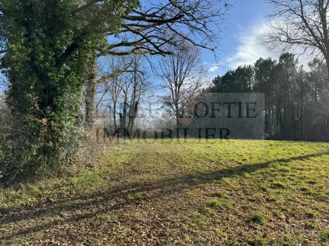 Former Farmhouse on 6 ha of Land photo 3