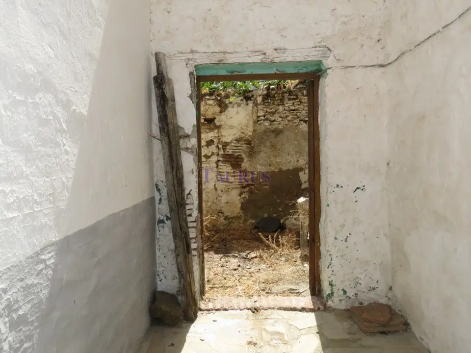 Taurus Real Estate photo 3