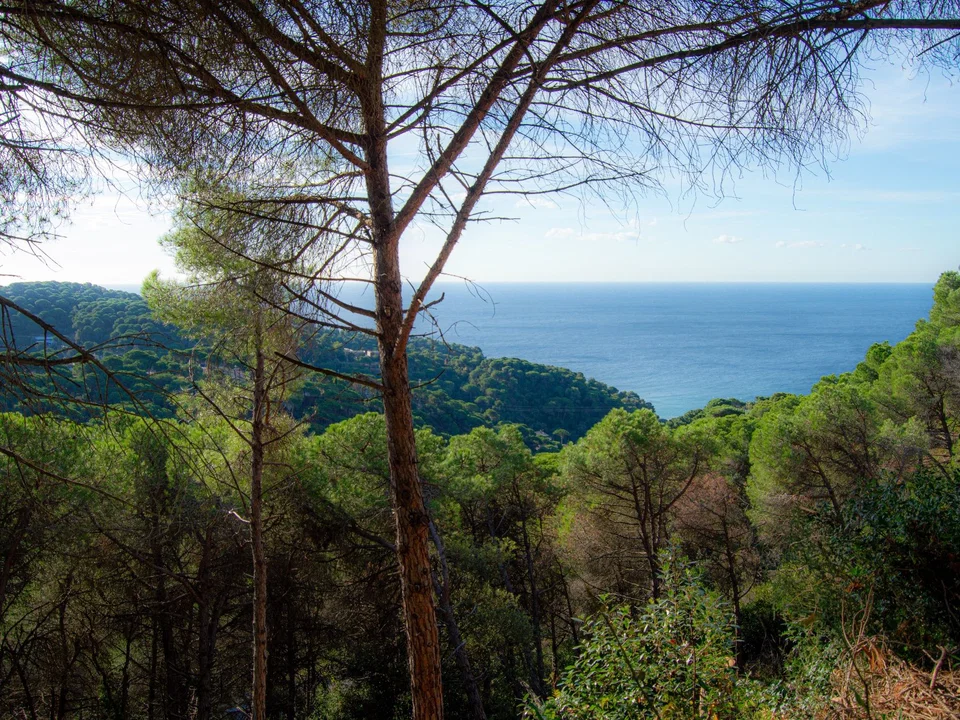 Sale and Rental Spain photo 2