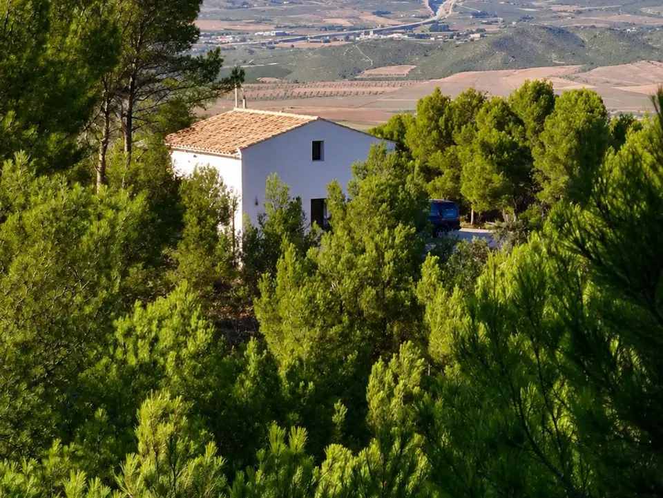 Stratus International Properties photo 2