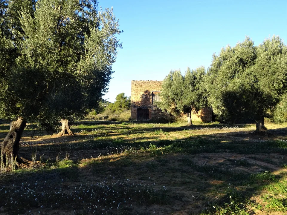 Finca in Maella, Zaragoza province photo 4