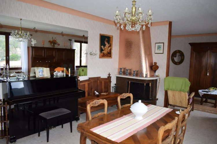 Detached House with 3151m² of Land. photo 5