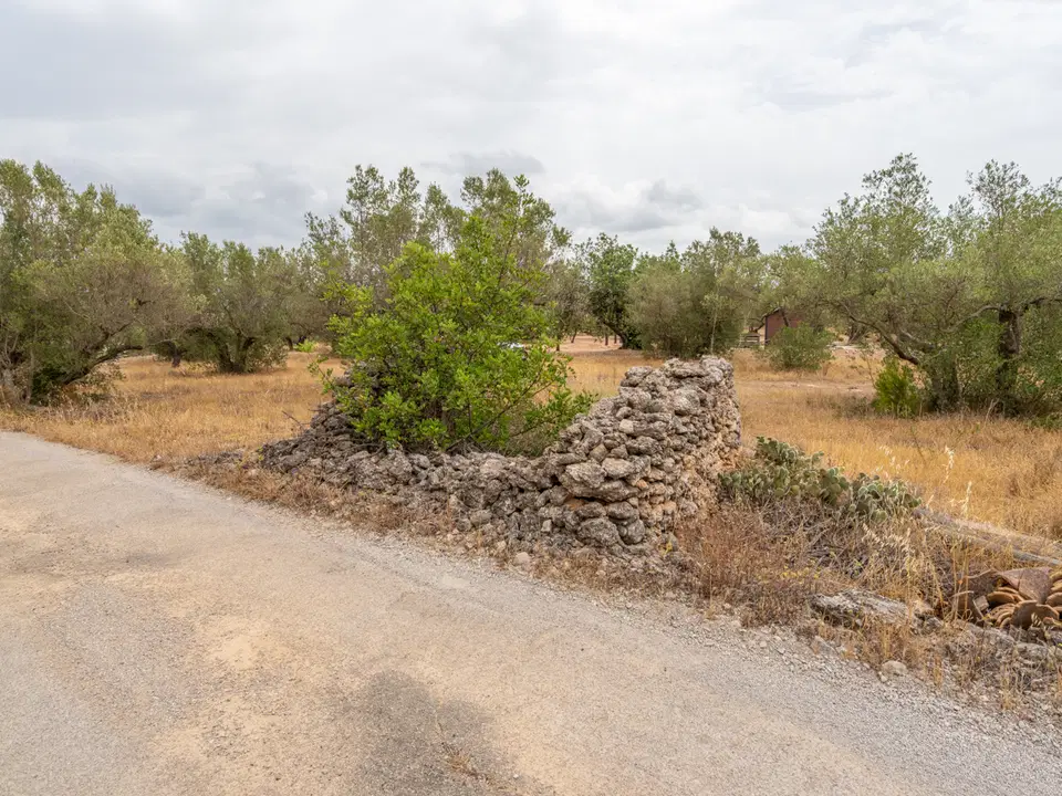 MAS CATALAN RURAL PROPERTIES S.L.U. photo 2