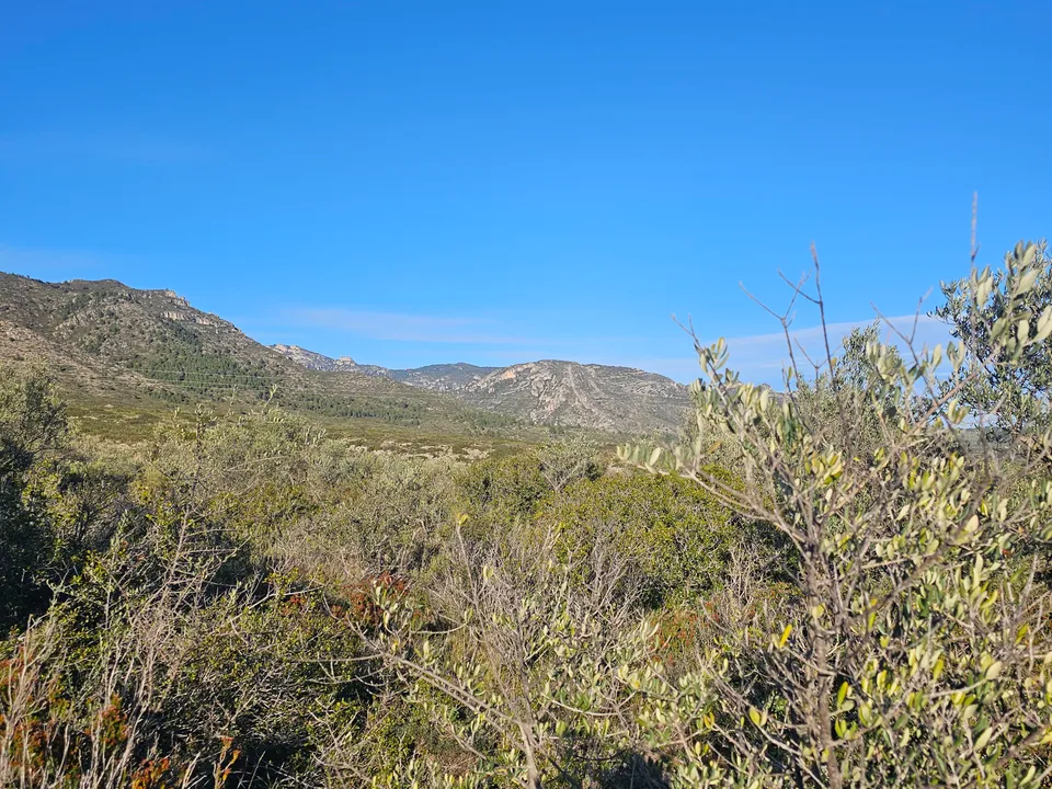 Beach Property in Spain photo 3