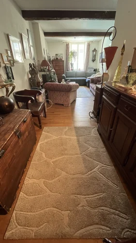 Charming Bourgeois Apartment with Patio and Lift in the Heart of Carcassonne photo 5