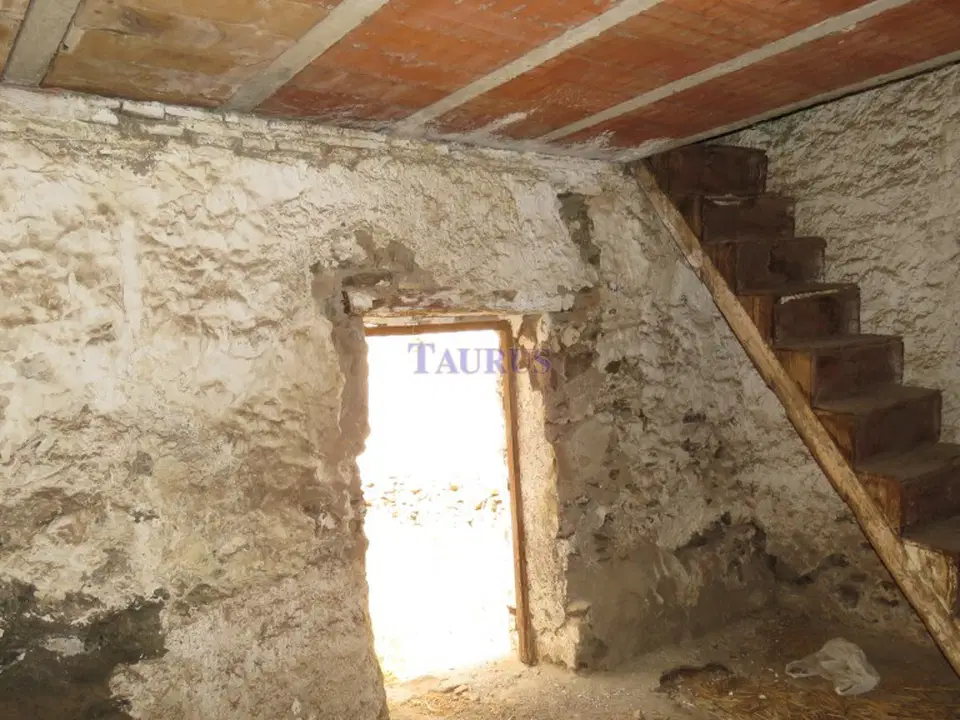 Taurus Real Estate photo 5