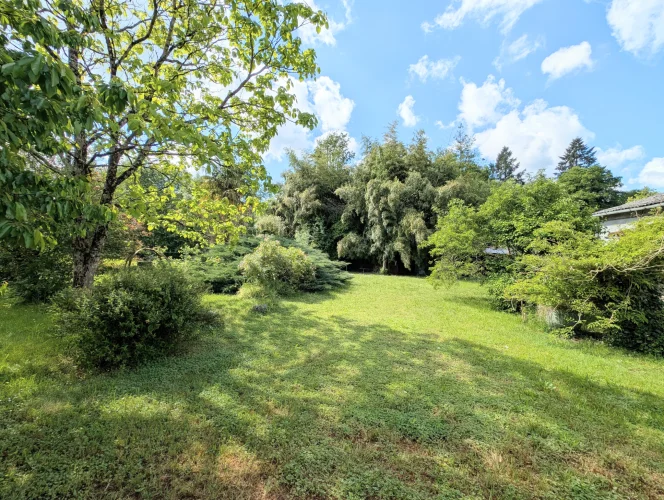 Great Potentiel, Spacious Stone Village House, Separate Land photo 5