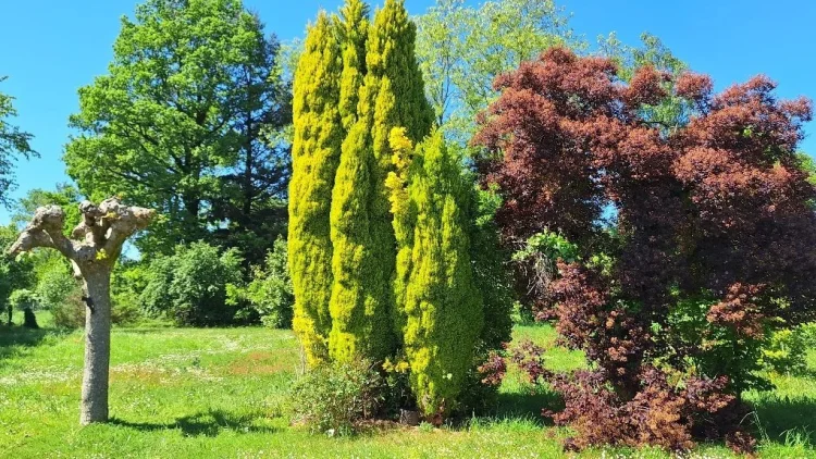 Charming 2-Bedroom Pavilion in Terres-De-Haute-Charente photo 4