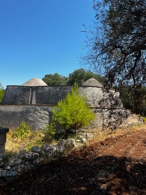 1 bedroom trulli, 15 m² Carovigno, Brindisi (province) Salento photo 2