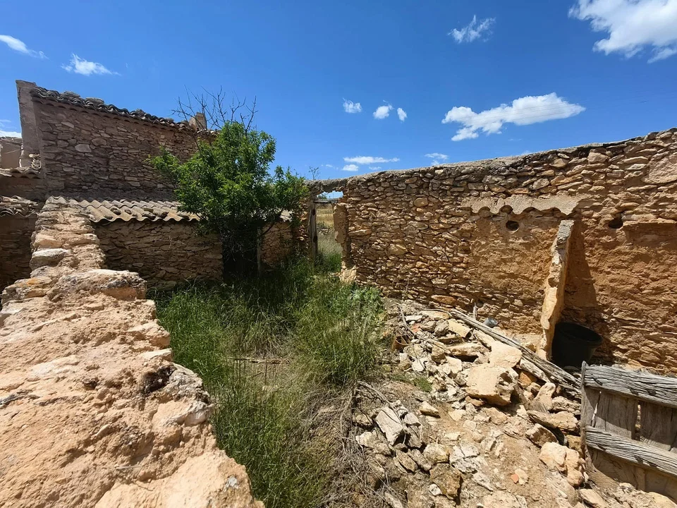 Alicante Dream Property  photo 3