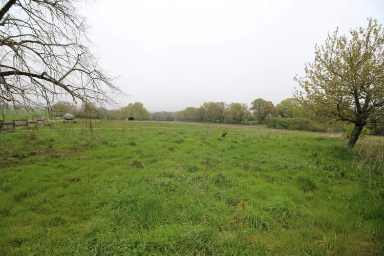 Three Bedroom Detached Property with 2 Hectares photo 3