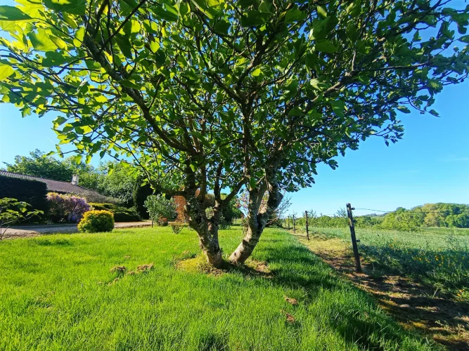 Single-Storey House in Condezaygues in the Countryside photo 2