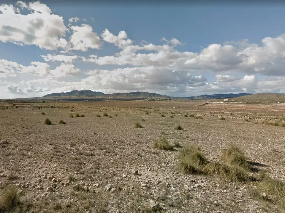Country Fincas Pinoso S.L. photo 5