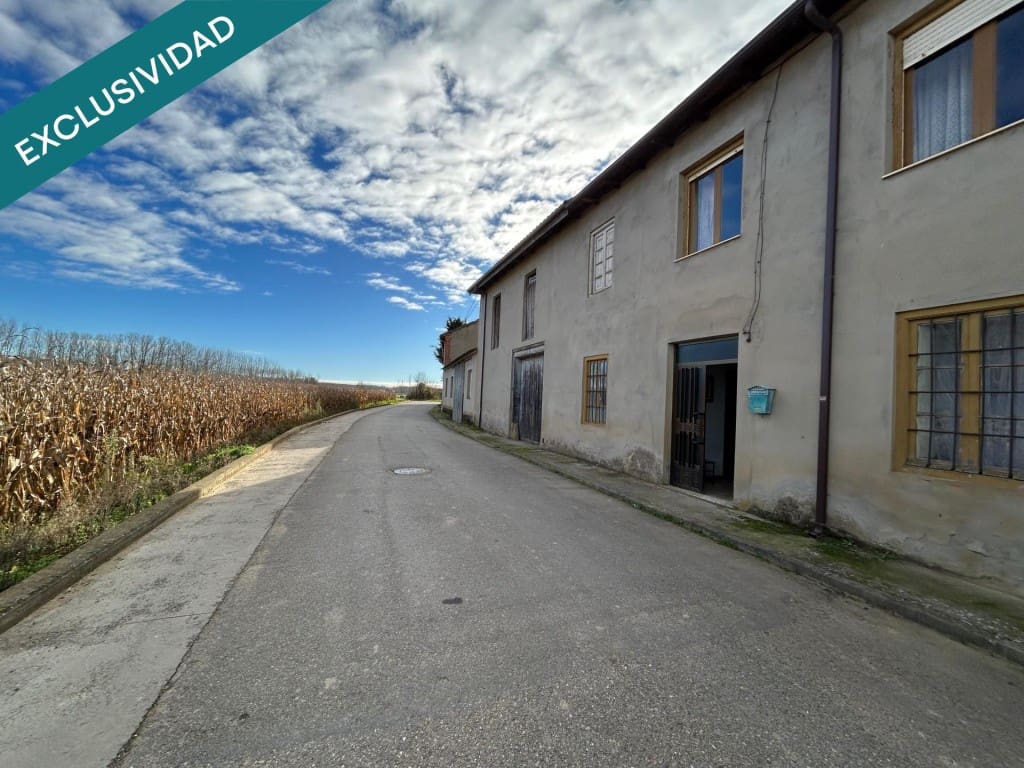 Finca/Country House for sale in Riego de la Vega, León
