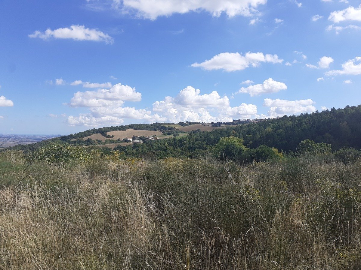 5 bedrooms country house, 365 m² Cingoli, Macerata (province) photo 2