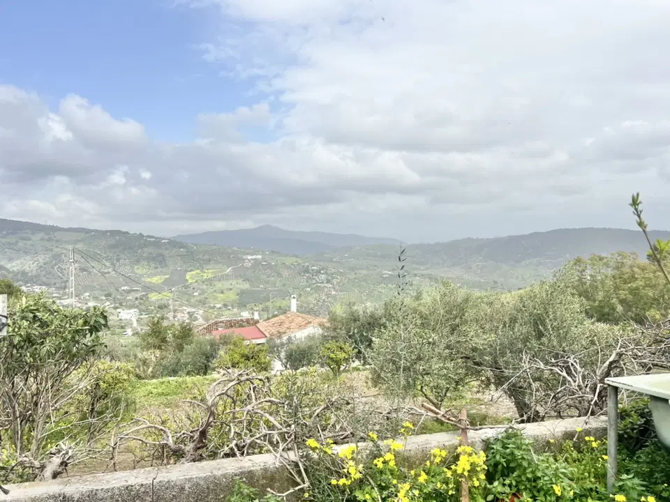 Finca in Casarabonela, Malaga photo 3