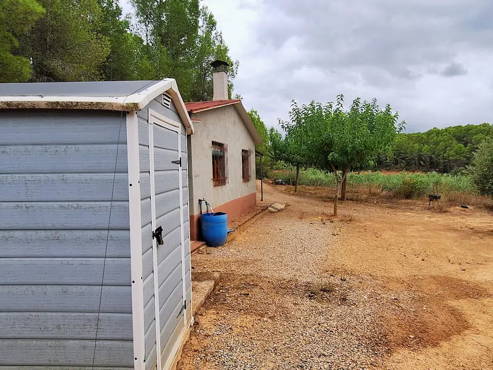 Finca in Ginestar, Tarragona province photo 4