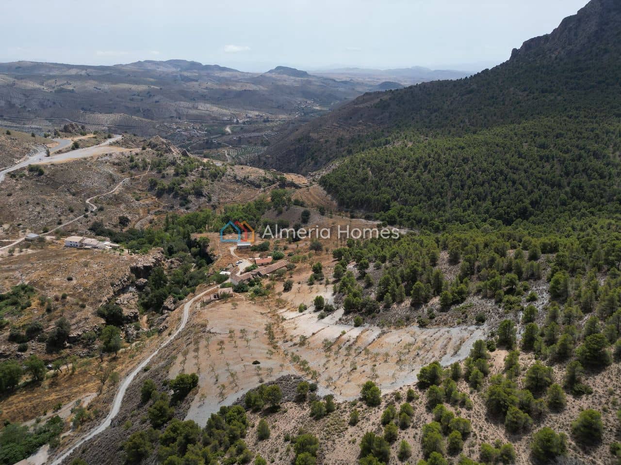 Finca/Country House for sale in Albox, Almería photo 3