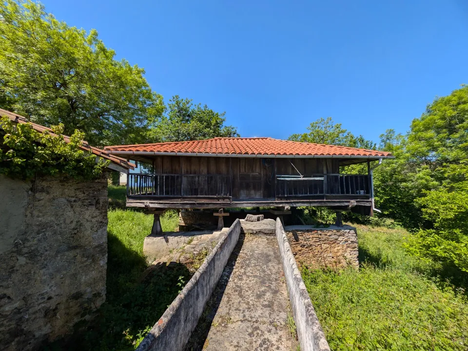 Legis Properties photo 5