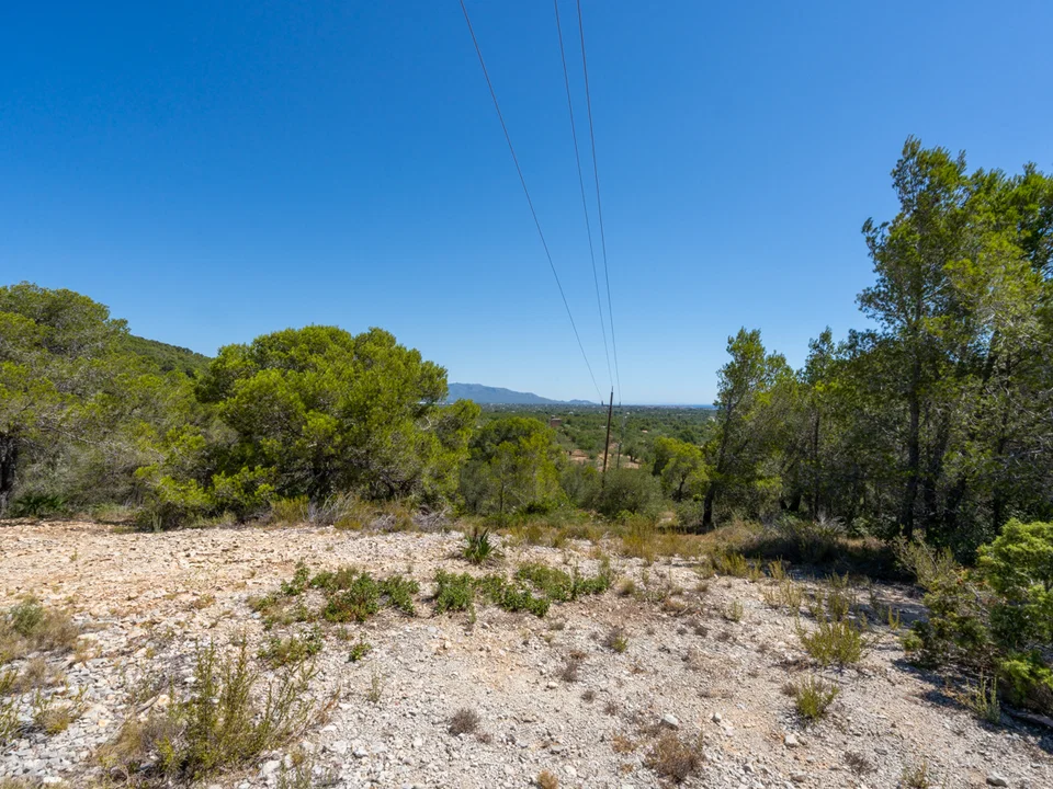 MAS CATALAN RURAL PROPERTIES S.L.U. photo 3