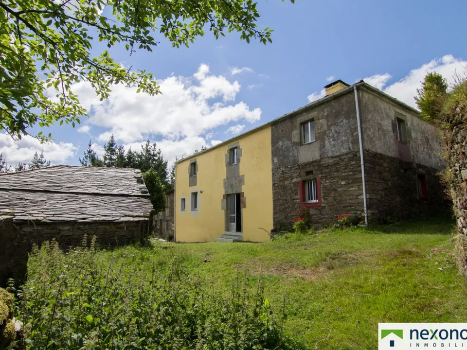 Nexonorte Inmobiliaria photo 3