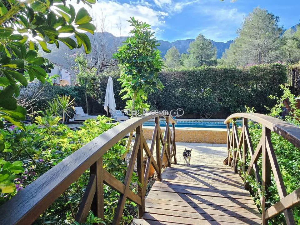 Villa in Villalonga, Valencia province photo 3