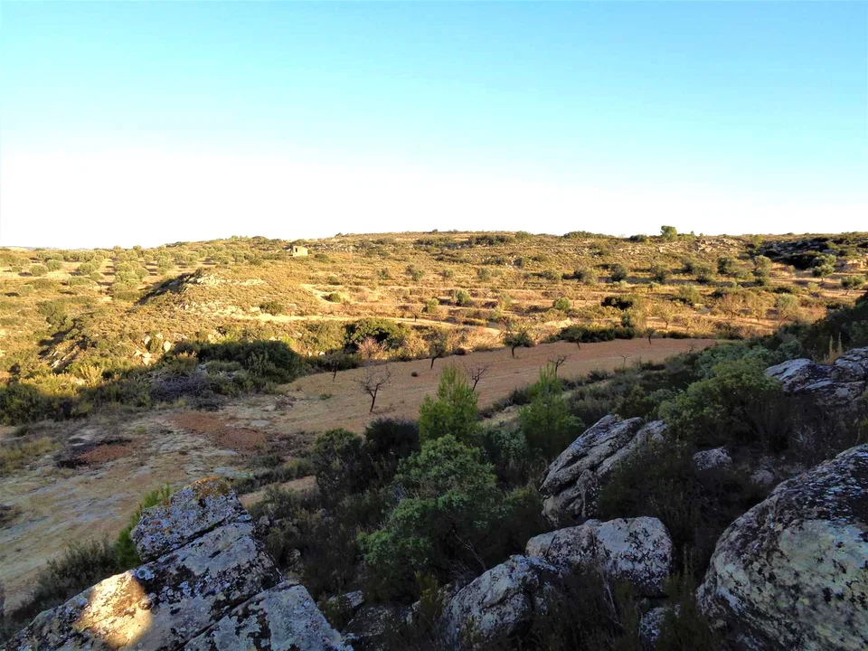 Finca in Maella, Zaragoza province photo 3