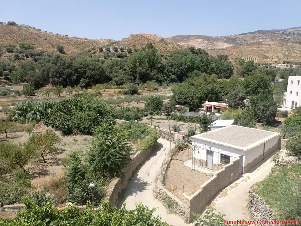 Village house in Cadiar, Granada photo 3
