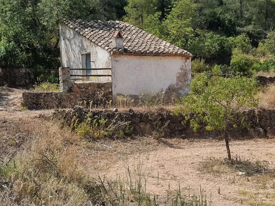 Catalancasas