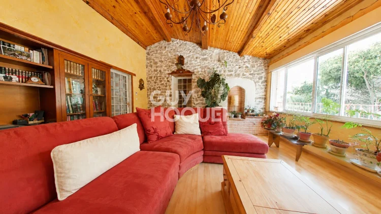 Village House with Annex and Exterior Space