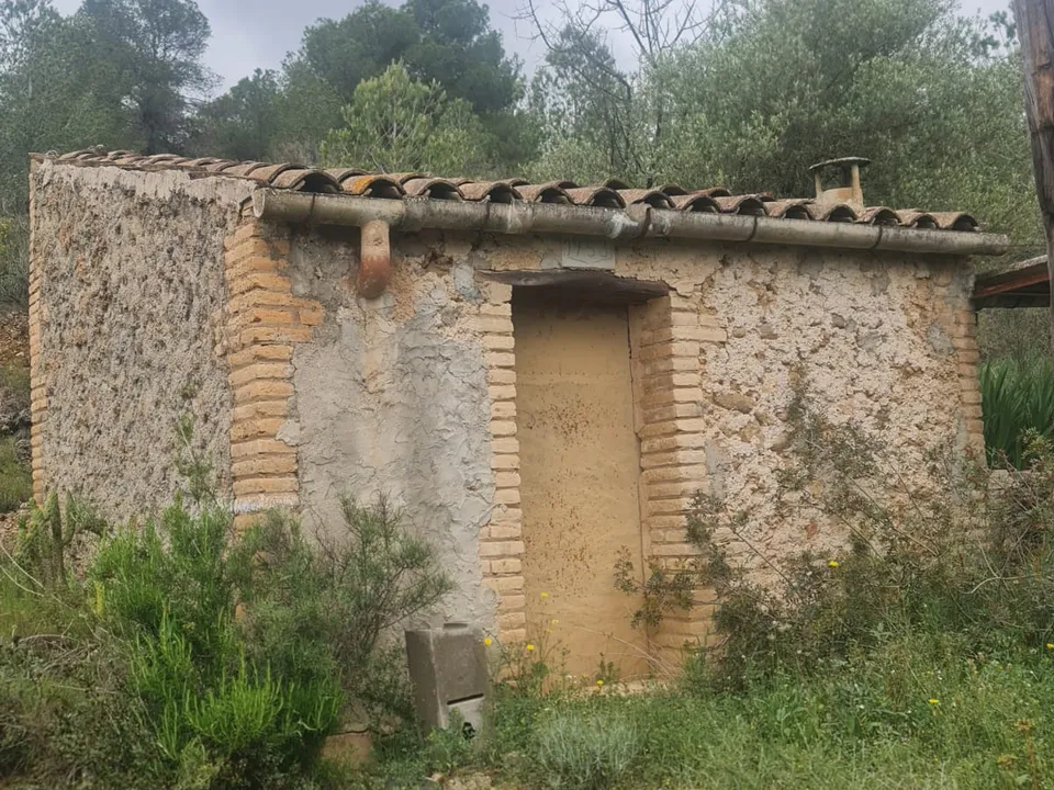 Catalancasas photo 3