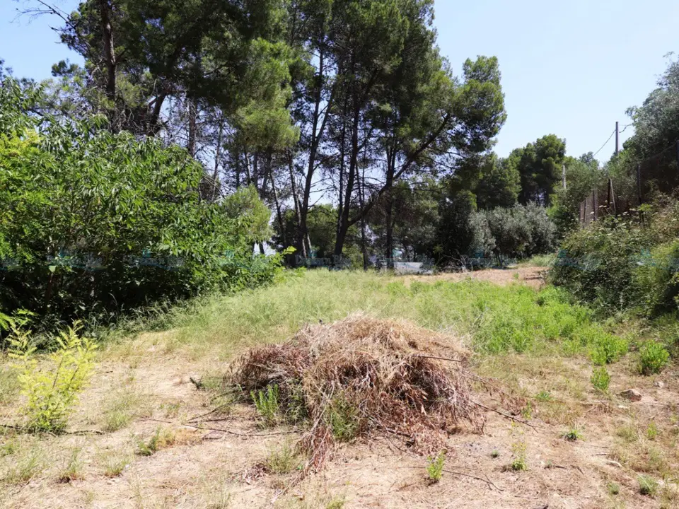 Dream'n Blue Properties photo 3