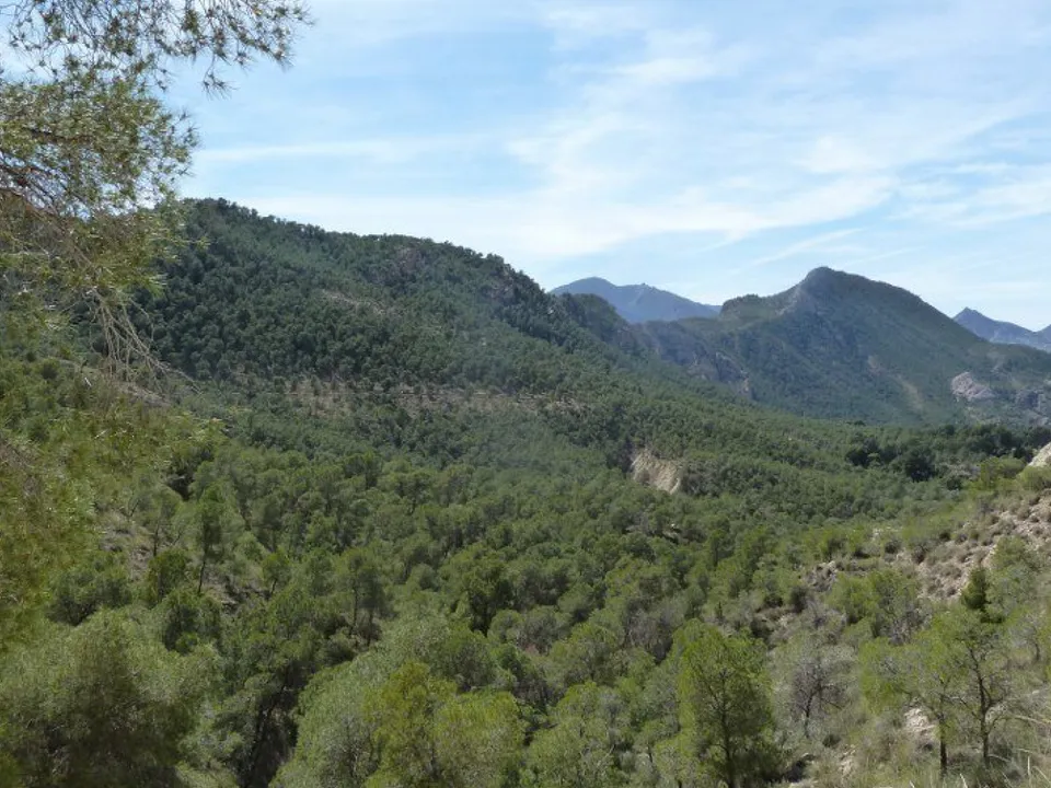 Matador Property photo 3