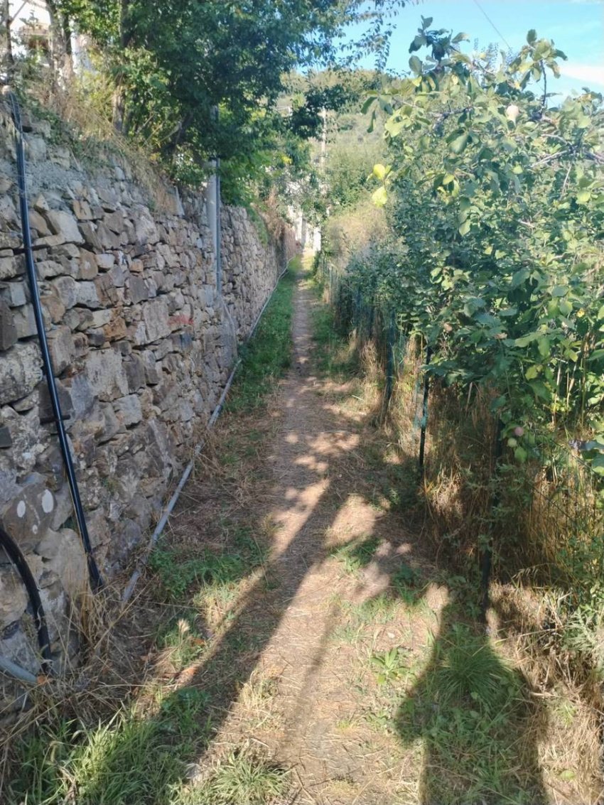 Property in Sanremo photo 5