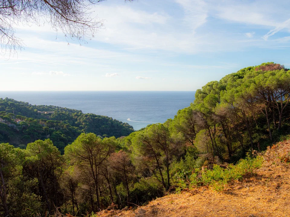 Sale and Rental Spain