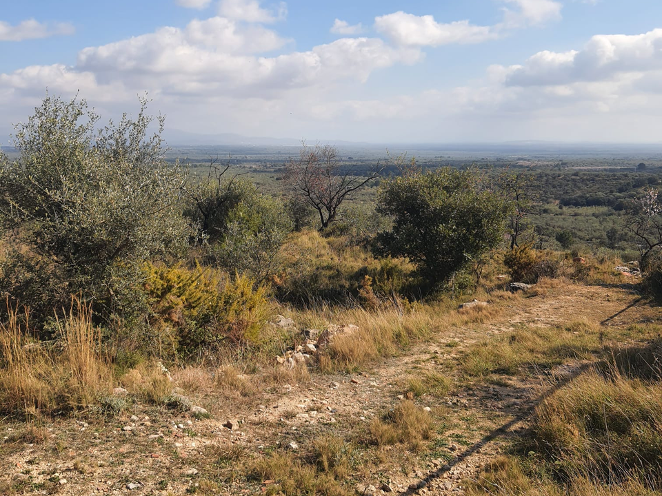 Beach Property in Spain photo 2