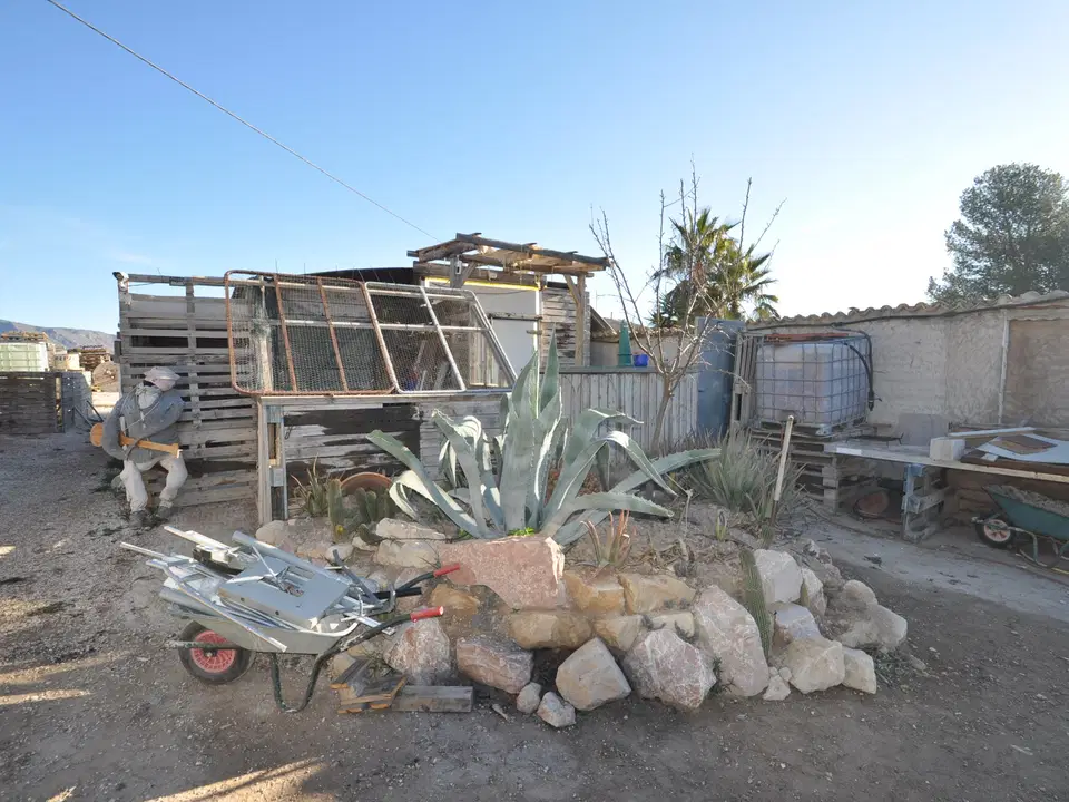 Stratus International Properties photo 4