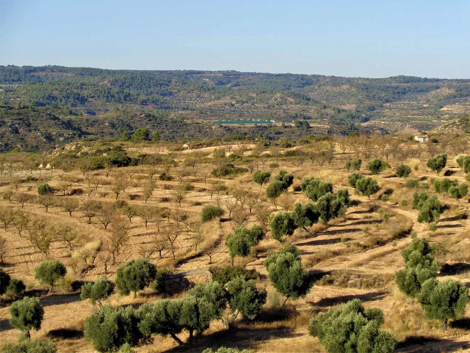Finca in Maella, Zaragoza province
