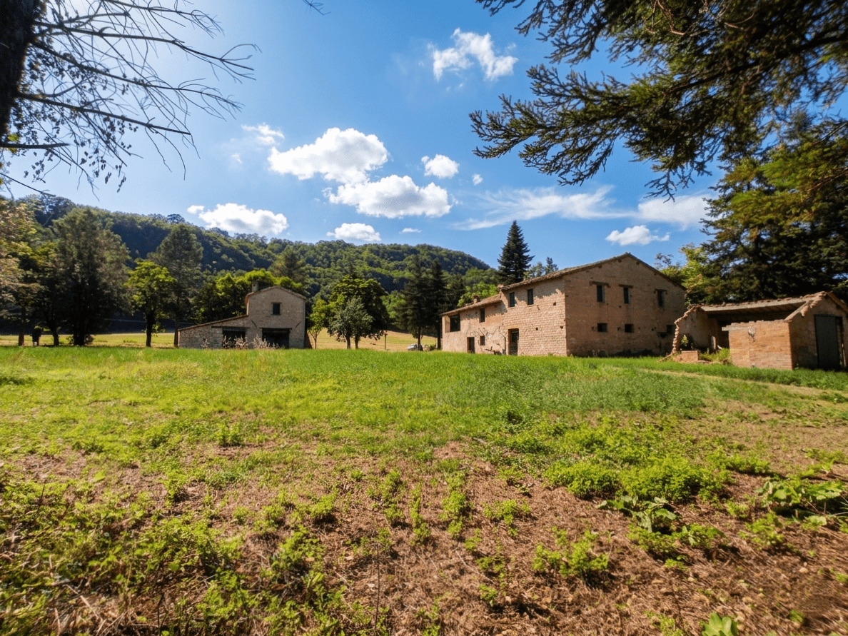 Property in Fossombrone photo 3