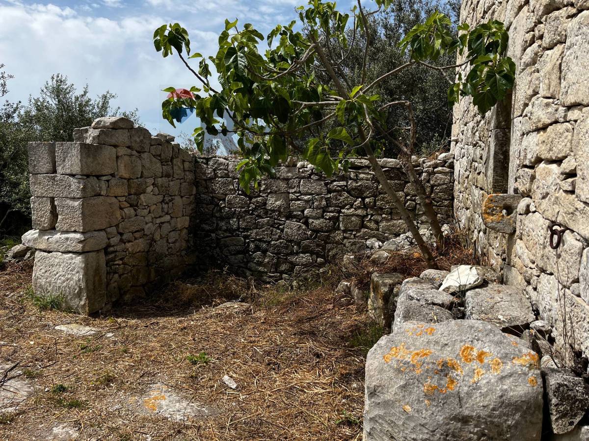 Property in Ragusa photo 4
