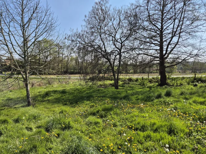 Stone House of 152 m², to Renovate, with Outbuildings and Garden! photo 2