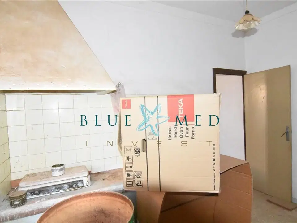 Blue Med Invest photo 5