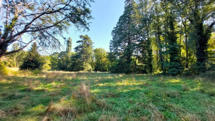 Property on 1.3 Hectares, Near Aurignac. photo 3