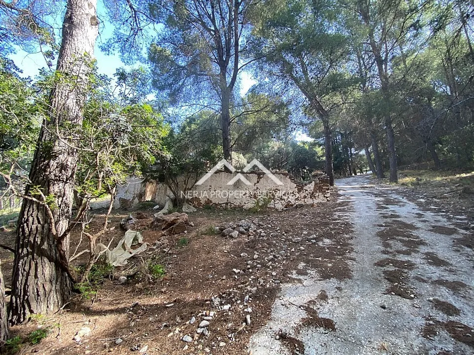 Nerja Property Services photo 2