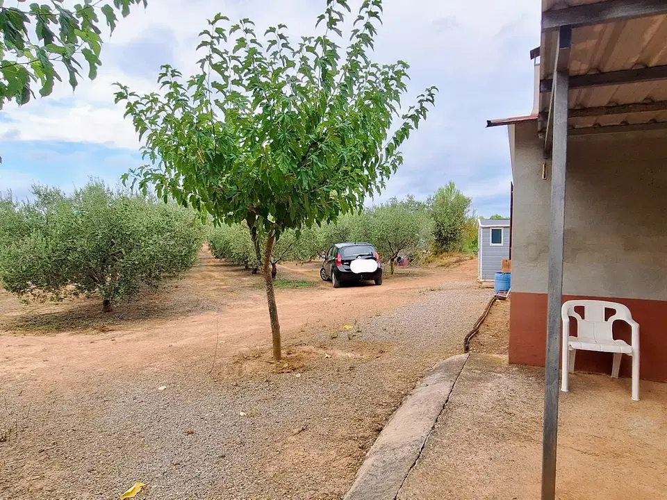 Finca in Ginestar, Tarragona province photo 2