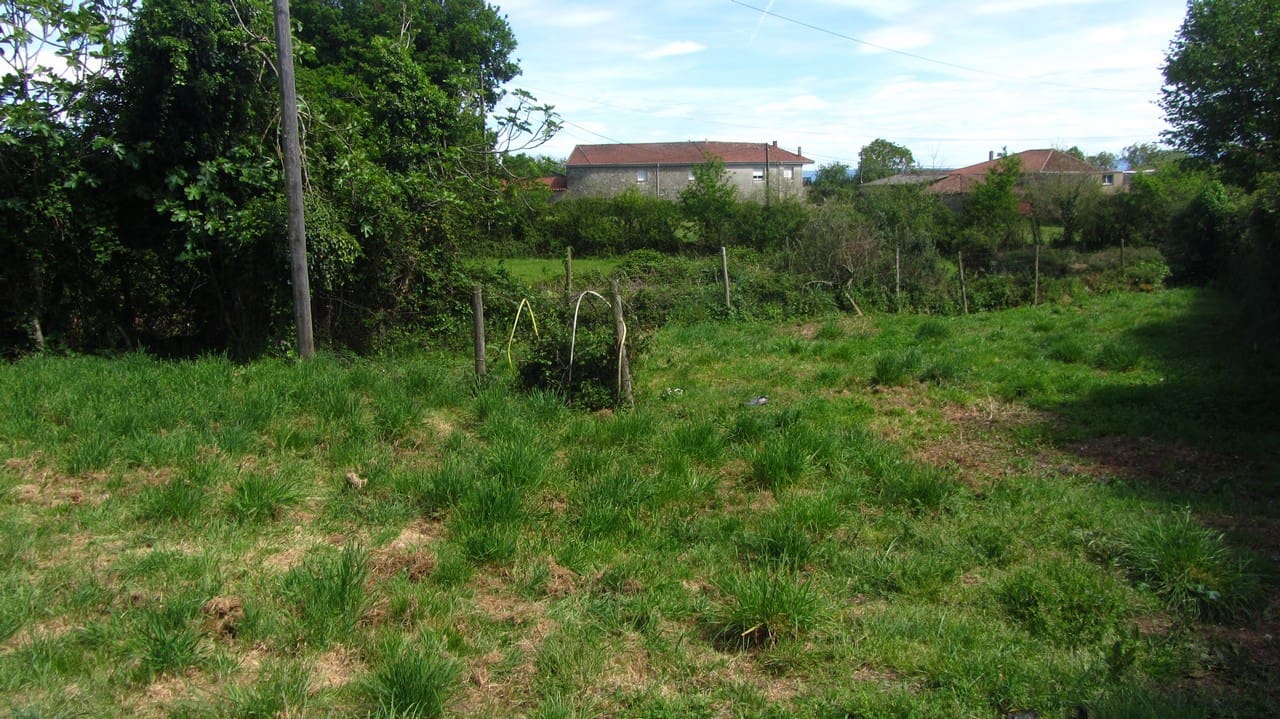 Finca/Country House for sale in Ferreira de Panton, Pantón, Lugo photo 5