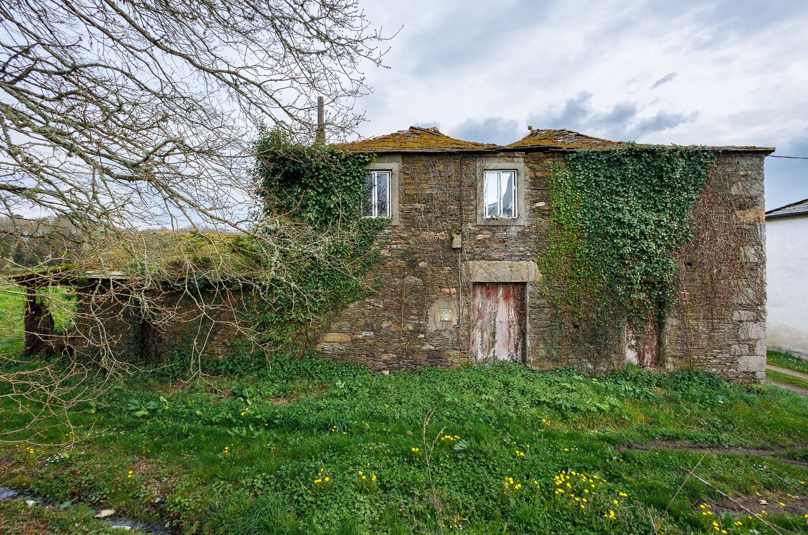 Finca/Country House for sale in Begonte, Lugo photo 2