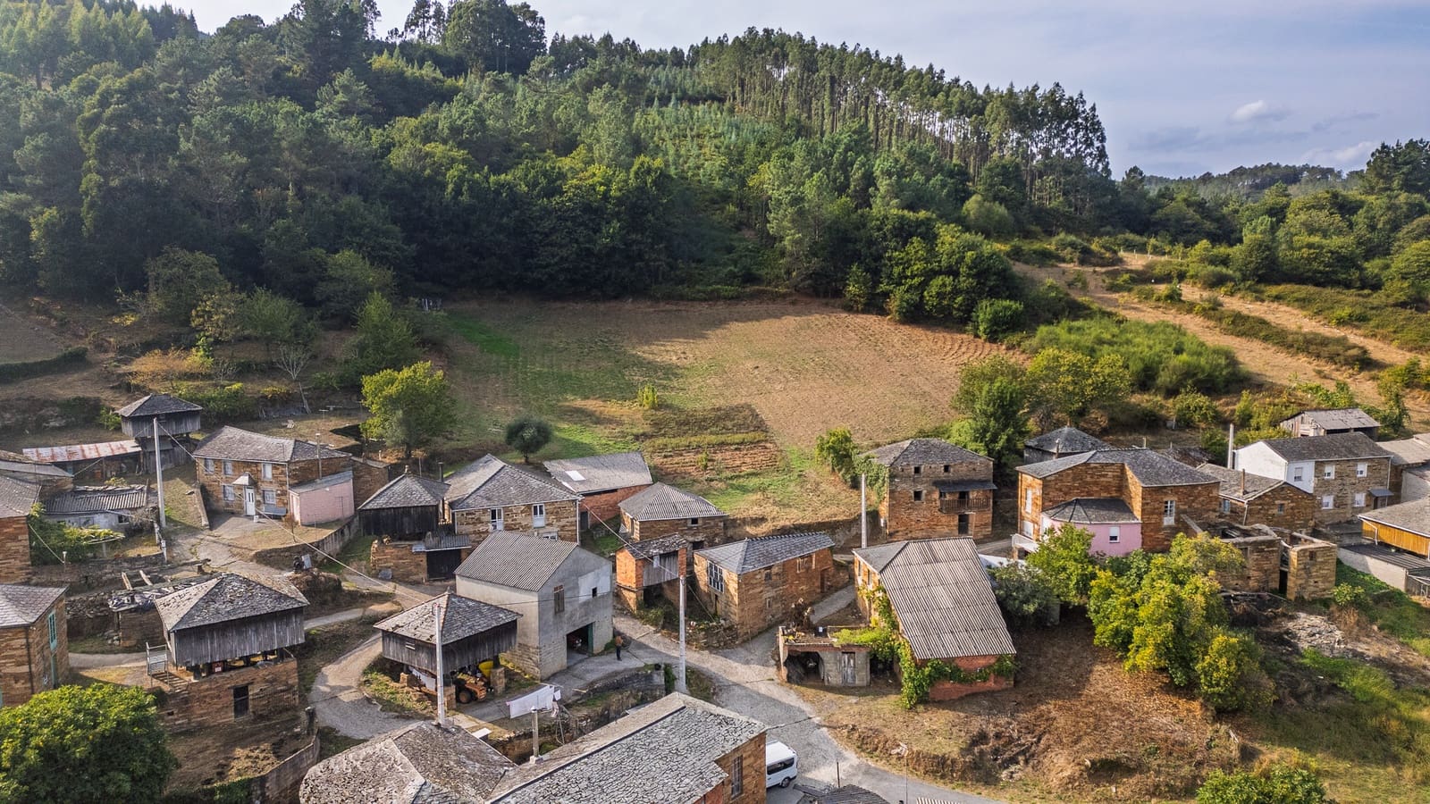 Finca/Country House for sale in Ribeira de Piquín, Lugo photo 3