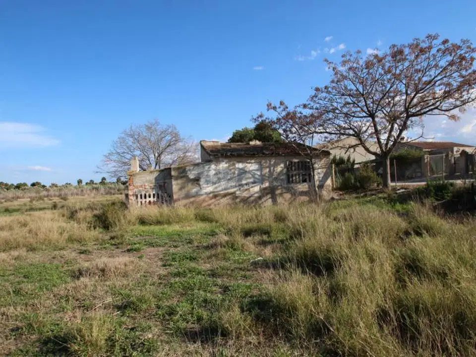Country house in Elche, Alicante province photo 5