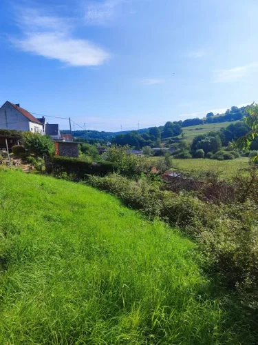 Country House photo 3